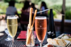 2026年世界杯，即将在哪个城市举办？2026年世界杯在哪个城市举行