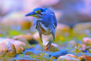 2026世界杯,全球足球的 next 大事2026世界杯