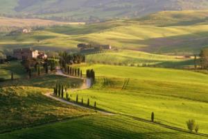 2022年卡塔尔世界杯亚洲区预选赛18强,激情与实力的较量世界杯亚洲区预选赛18强